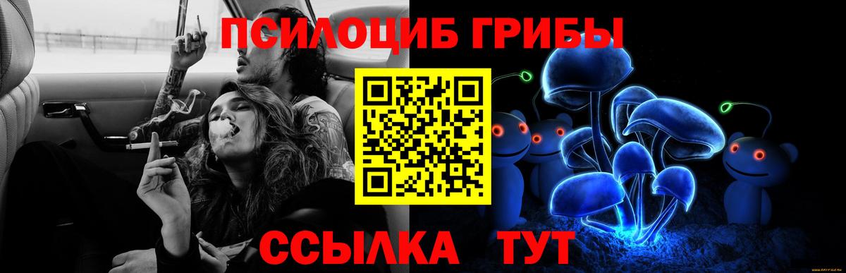 Галлюциногенные грибы GOLDEN TEACHER Симферополь